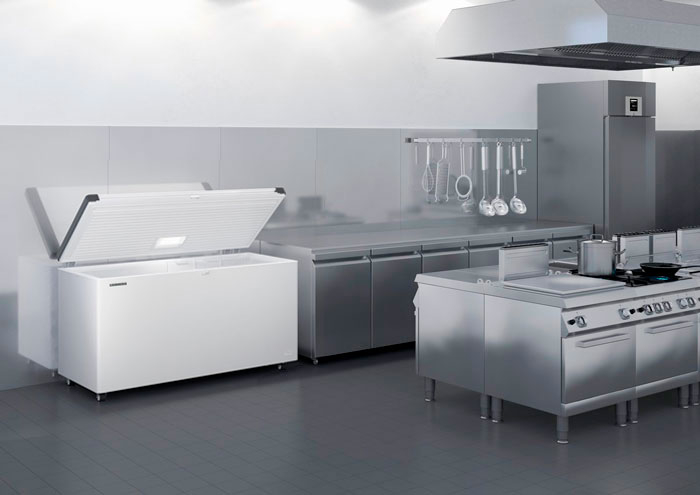 ����������� ���� LIEBHERR EFL 4655